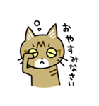 トラ猫キビちゃん（個別スタンプ：3）