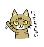 トラ猫キビちゃん（個別スタンプ：5）
