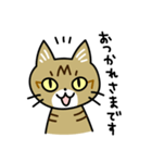 トラ猫キビちゃん（個別スタンプ：8）