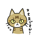 トラ猫キビちゃん（個別スタンプ：9）
