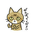 トラ猫キビちゃん（個別スタンプ：10）