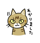 トラ猫キビちゃん（個別スタンプ：11）
