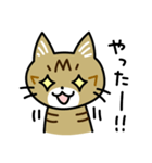 トラ猫キビちゃん（個別スタンプ：15）