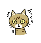 トラ猫キビちゃん（個別スタンプ：17）
