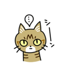 トラ猫キビちゃん（個別スタンプ：18）