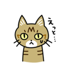 トラ猫キビちゃん（個別スタンプ：19）