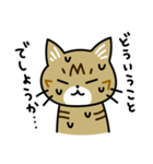 トラ猫キビちゃん（個別スタンプ：20）