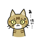 トラ猫キビちゃん（個別スタンプ：21）