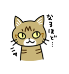 トラ猫キビちゃん（個別スタンプ：22）