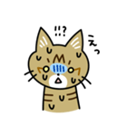 トラ猫キビちゃん（個別スタンプ：23）