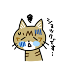 トラ猫キビちゃん（個別スタンプ：26）