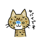 トラ猫キビちゃん（個別スタンプ：27）