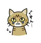 トラ猫キビちゃん（個別スタンプ：28）