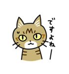 トラ猫キビちゃん（個別スタンプ：33）