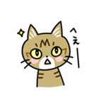 トラ猫キビちゃん（個別スタンプ：34）