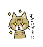 トラ猫キビちゃん（個別スタンプ：35）