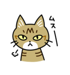 トラ猫キビちゃん（個別スタンプ：36）