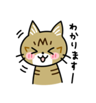 トラ猫キビちゃん（個別スタンプ：37）