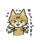 トラ猫キビちゃん（個別スタンプ：39）