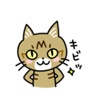 トラ猫キビちゃん（個別スタンプ：40）