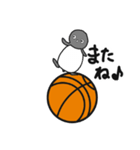 球のりペンギン(バスケットボール)（個別スタンプ：12）