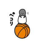 球のりペンギン(バスケットボール)（個別スタンプ：13）