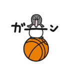 球のりペンギン(バスケットボール)（個別スタンプ：16）