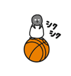 球のりペンギン(バスケットボール)（個別スタンプ：19）