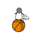 球のりペンギン(バスケットボール)（個別スタンプ：21）