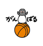 球のりペンギン(バスケットボール)（個別スタンプ：23）