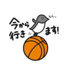 球のりペンギン(バスケットボール)（個別スタンプ：26）
