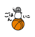 球のりペンギン(バスケットボール)（個別スタンプ：29）