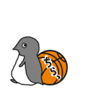 球のりペンギン(バスケットボール)（個別スタンプ：33）