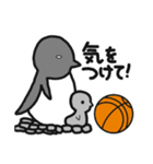 球のりペンギン(バスケットボール)（個別スタンプ：34）