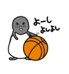 球のりペンギン(バスケットボール)（個別スタンプ：35）