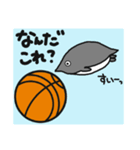 球のりペンギン(バスケットボール)（個別スタンプ：39）
