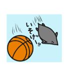 球のりペンギン(バスケットボール)（個別スタンプ：40）