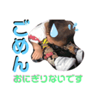 中村家専用うたくん（個別スタンプ：1）