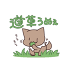 トラキルスタンプ3（個別スタンプ：14）