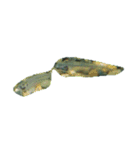 魚 生物 魚類写真 熱帯魚（個別スタンプ：32）