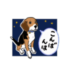 動くビーグル犬U^ェ^U（個別スタンプ：3）