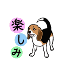 動くビーグル犬U^ェ^U（個別スタンプ：6）