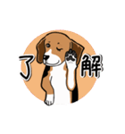 動くビーグル犬U^ェ^U（個別スタンプ：7）