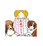 動くビーグル犬U^ェ^U（個別スタンプ：14）