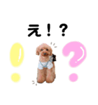 ティファリスの日常会話 第2弾（個別スタンプ：6）