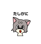 チワワのタケルくん（個別スタンプ：4）