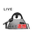 多角的ペンギン（個別スタンプ：5）