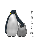 多角的ペンギン（個別スタンプ：7）