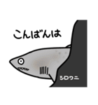 サメサメスタンプ（個別スタンプ：3）