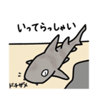 サメサメスタンプ（個別スタンプ：8）